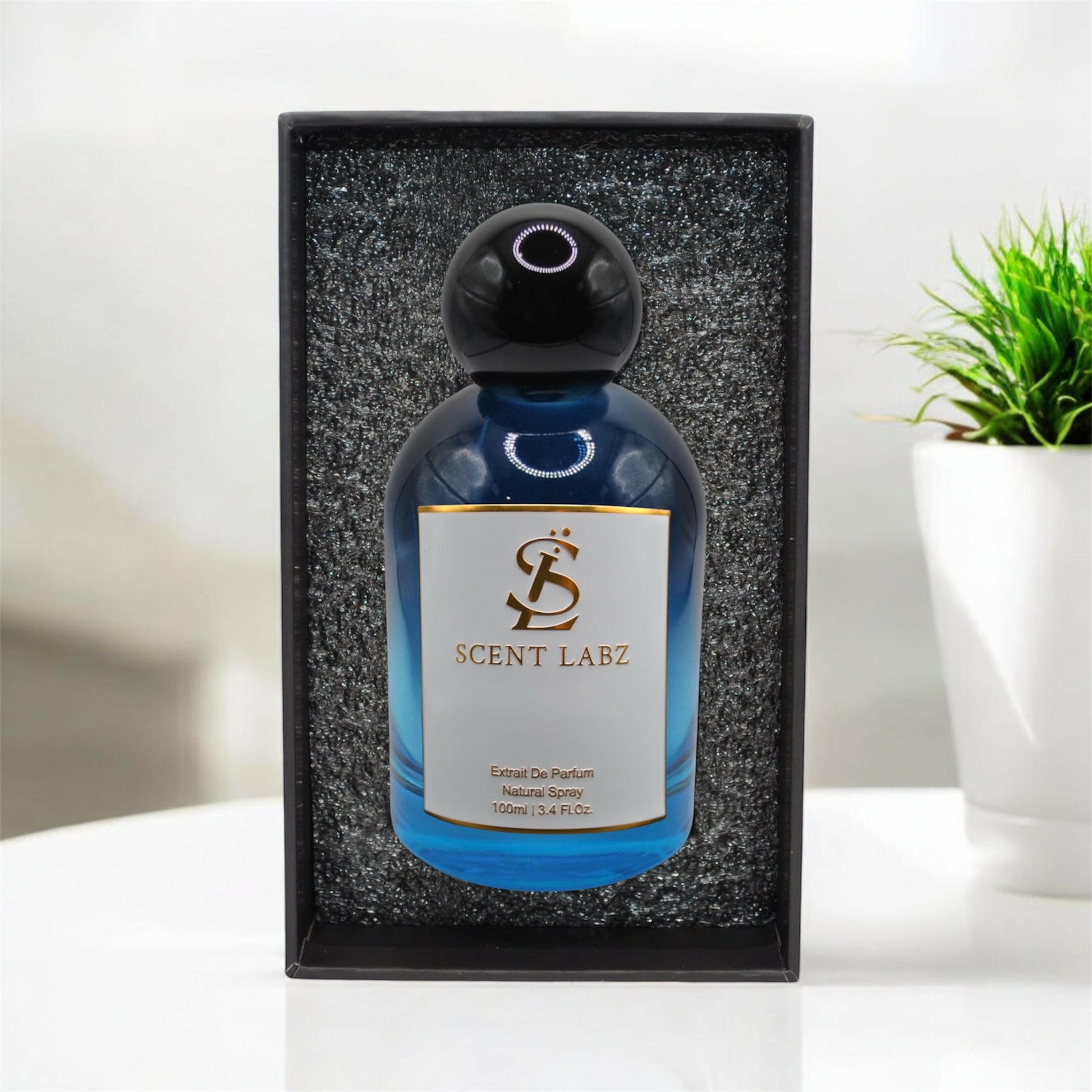 Acqua Beach - Inspired by Armani Acqua Di Gio - Scent Labz