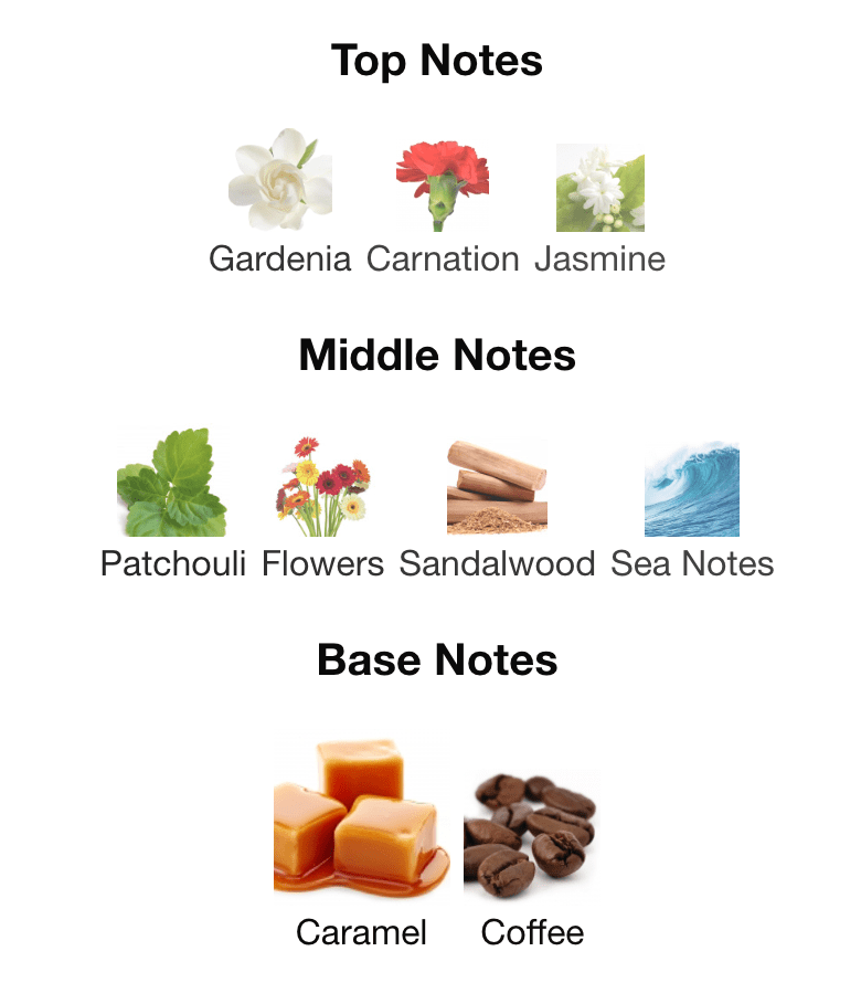 Concrete Jungle - Inspired by Bond No.9 New York Nights - Scent Labz