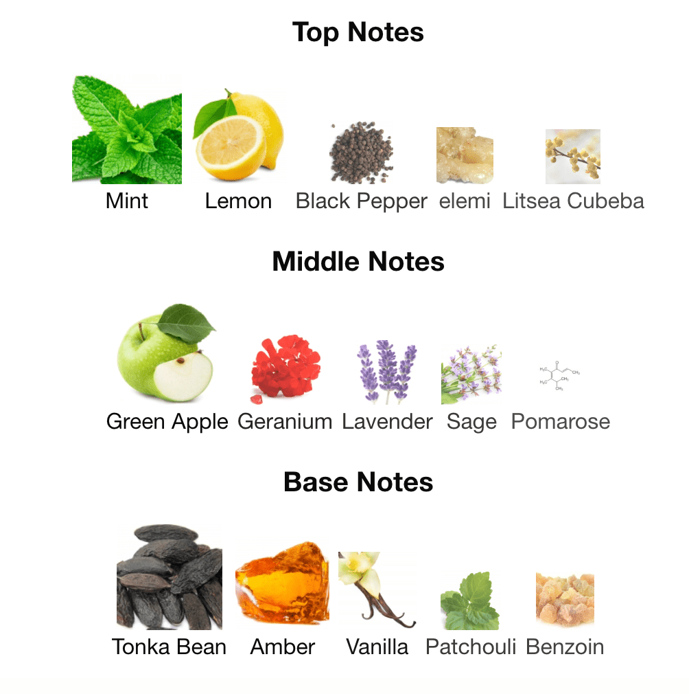 King's Potion - Inspired by Versace Eros Parfum - Scent Labz