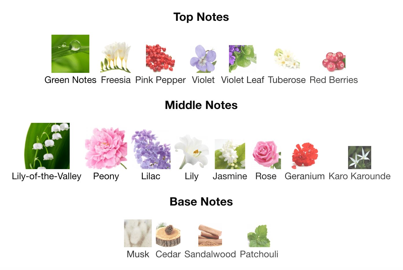 Majesty - Inspired by Estee Lauder Pleasures - Scent Labz