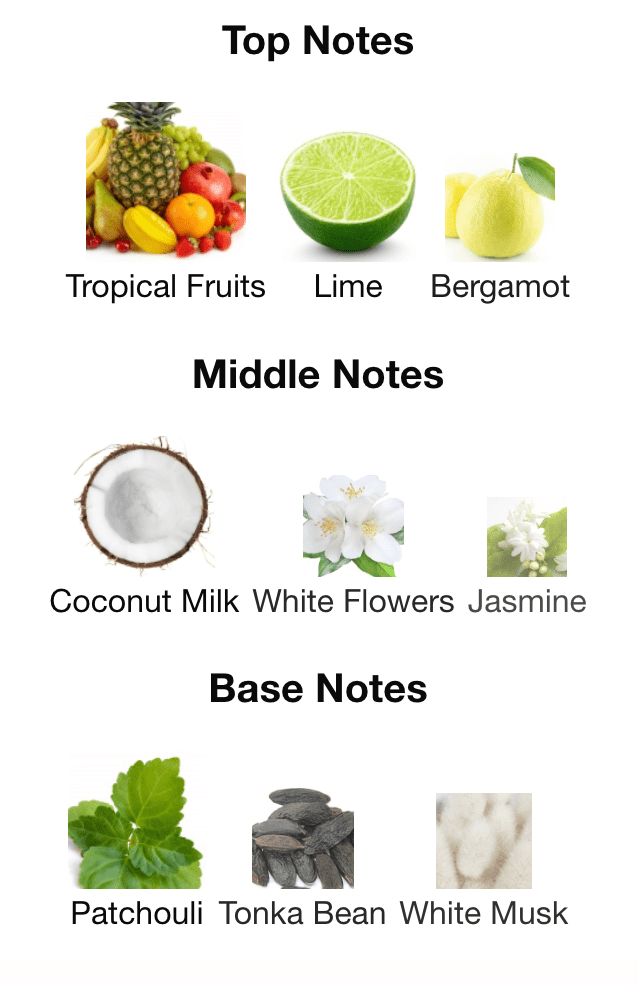 Piña Colada - Inspired by Creed Virgin Island Water - Scent Labz