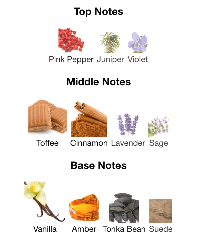 Vanilla Blaze - Inspired by Armani Stronger With You Intensely - Scent Labz